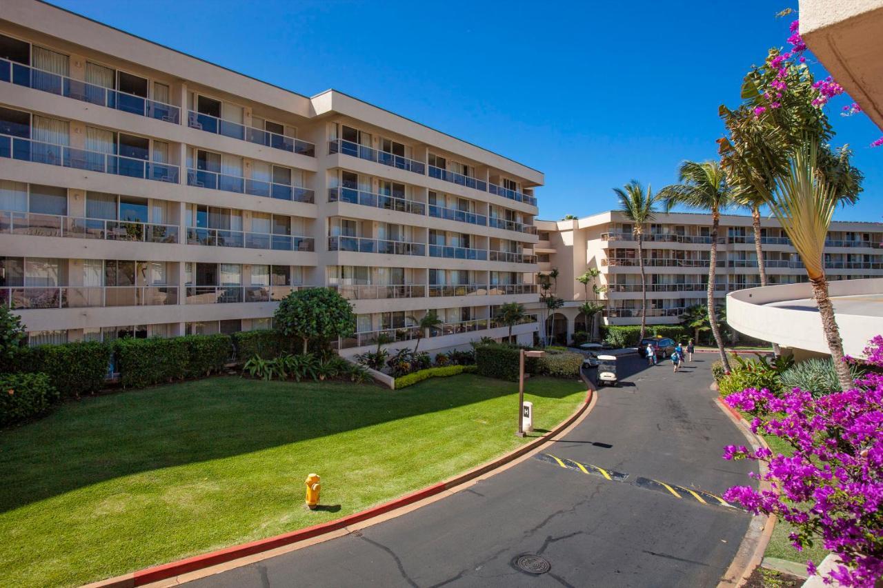 Maui Banyan H311 1Bd 2Ba 3 Min Walk To The Beach In The Heart Of South Kihei! ويليا المظهر الخارجي الصورة